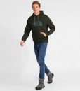 The North Face Drew Peak Pullover Hoodie Rosin Green